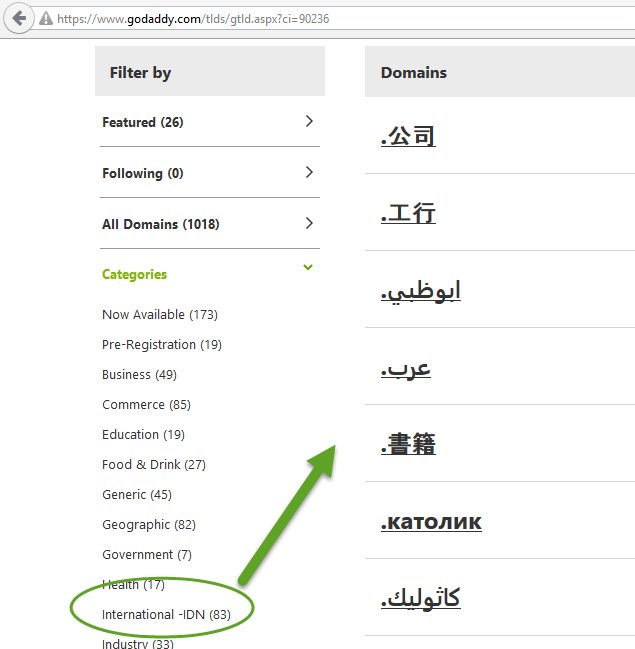 Internet domain name extensions in foreign languages